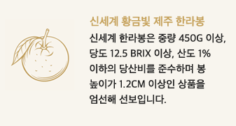 신세계 황금빛 제주 한라봉