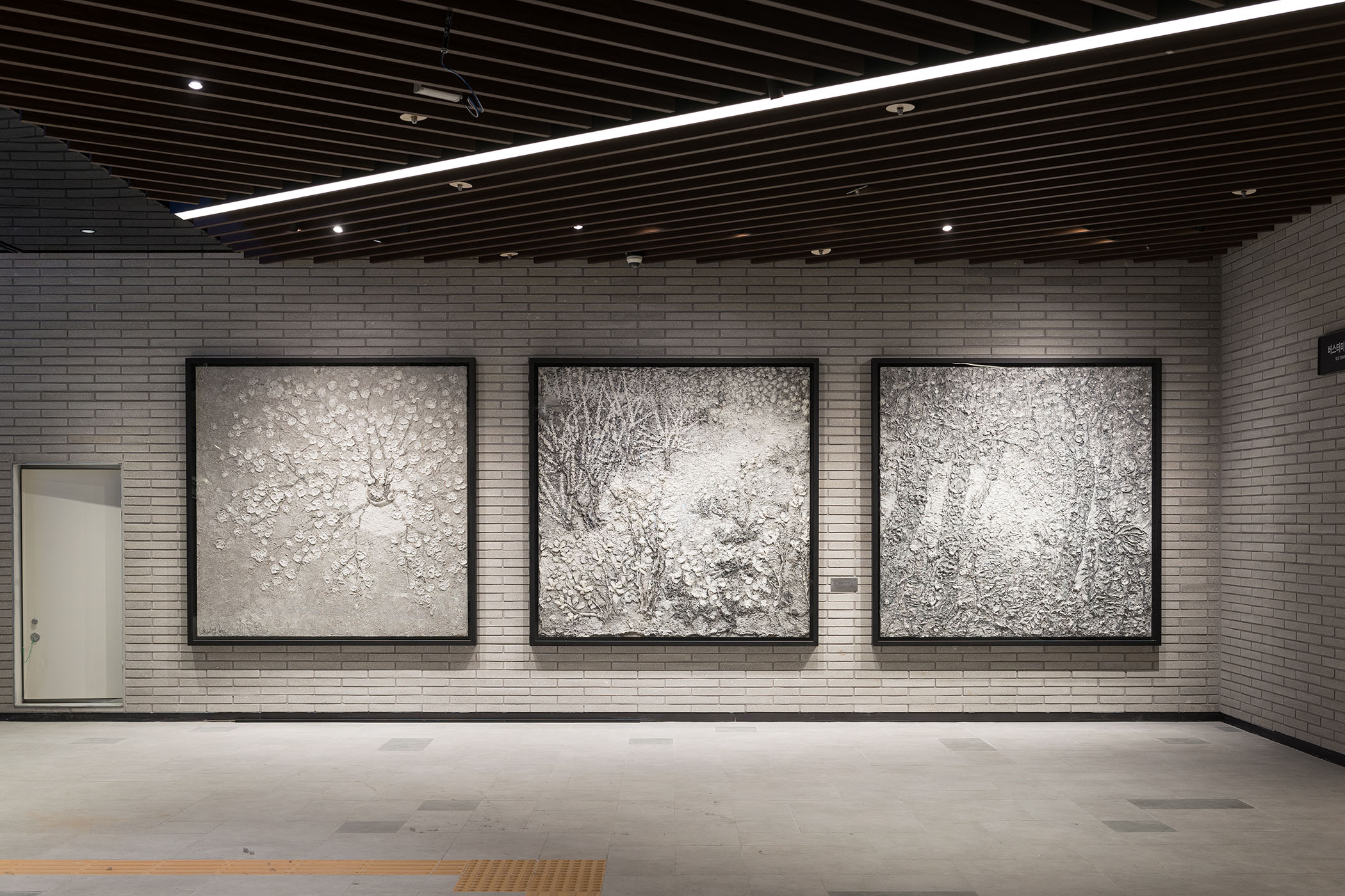 Blossom, Field, Field, 2010 전시전경 1