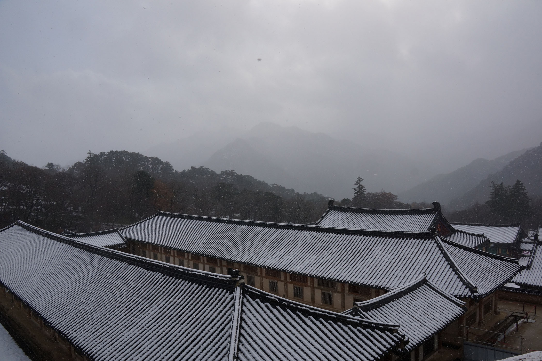 Landscape(풍경) 1, 2 ,3 , 2016 전시전경 3