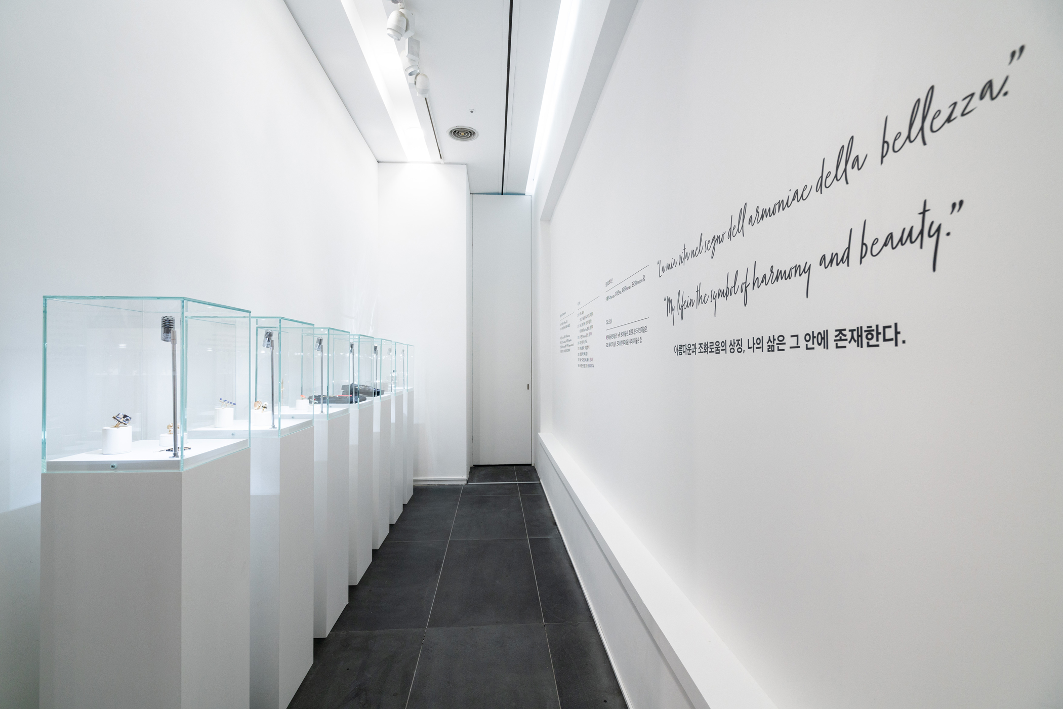전시 전경 이미지