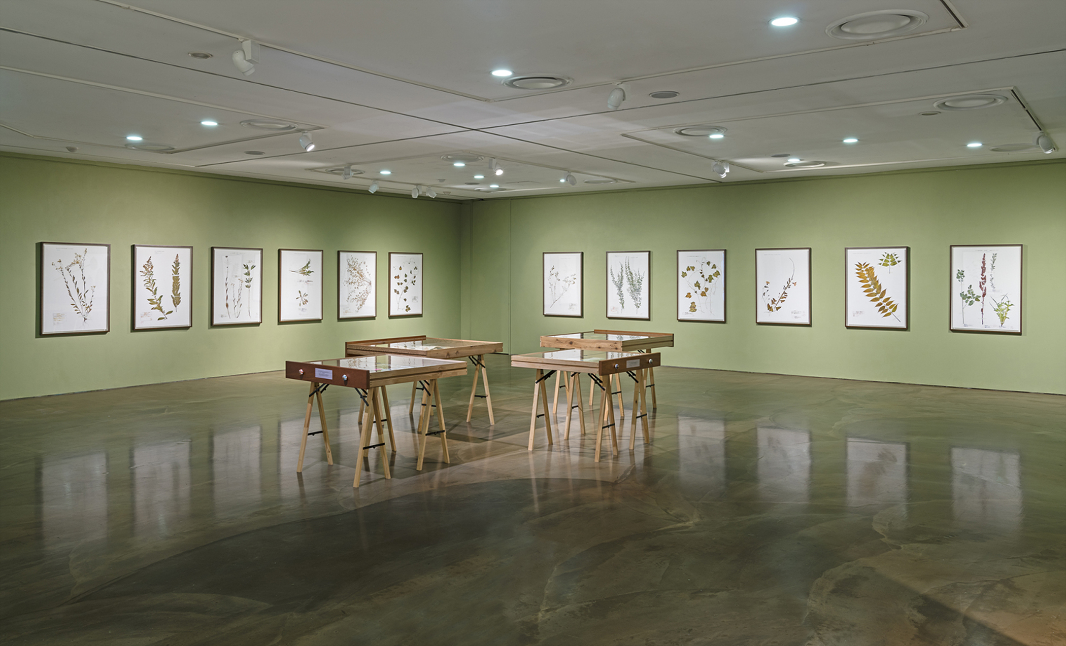 전시 전경 이미지