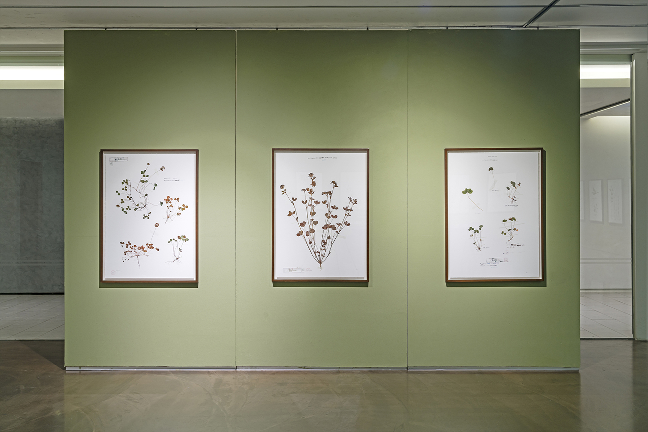 전시 전경 이미지