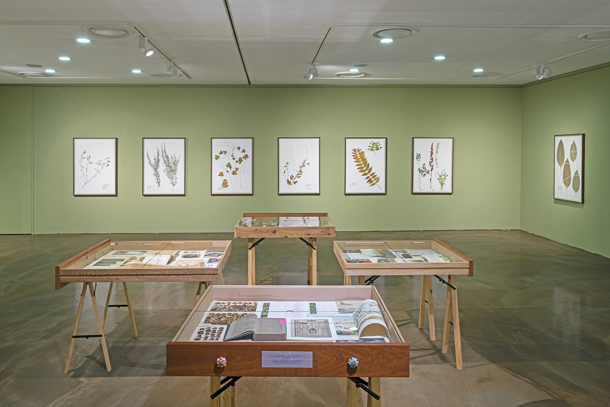 전시 전경 이미지