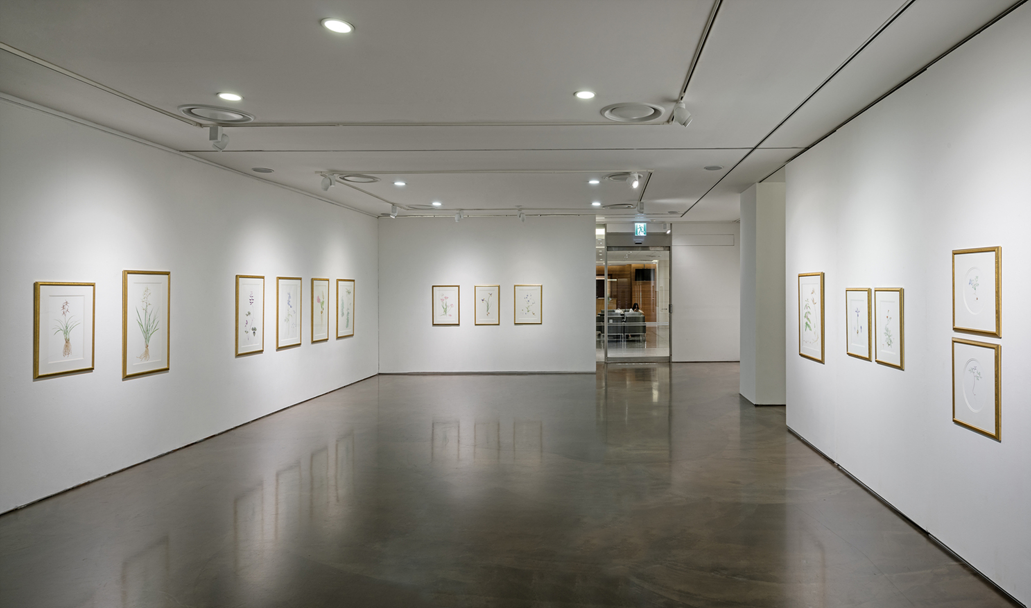 전시 전경 이미지