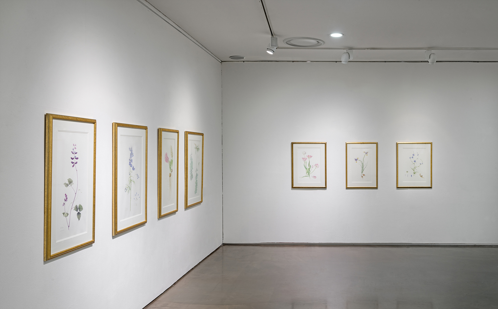 전시 전경 이미지