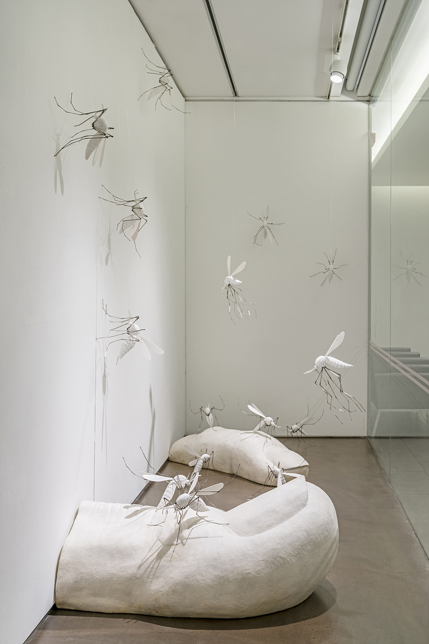 전시 전경 이미지