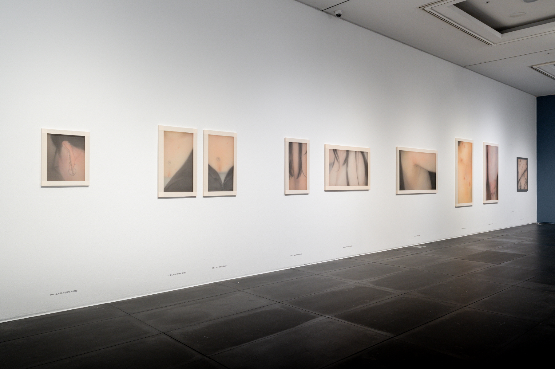 전시 전경 이미지