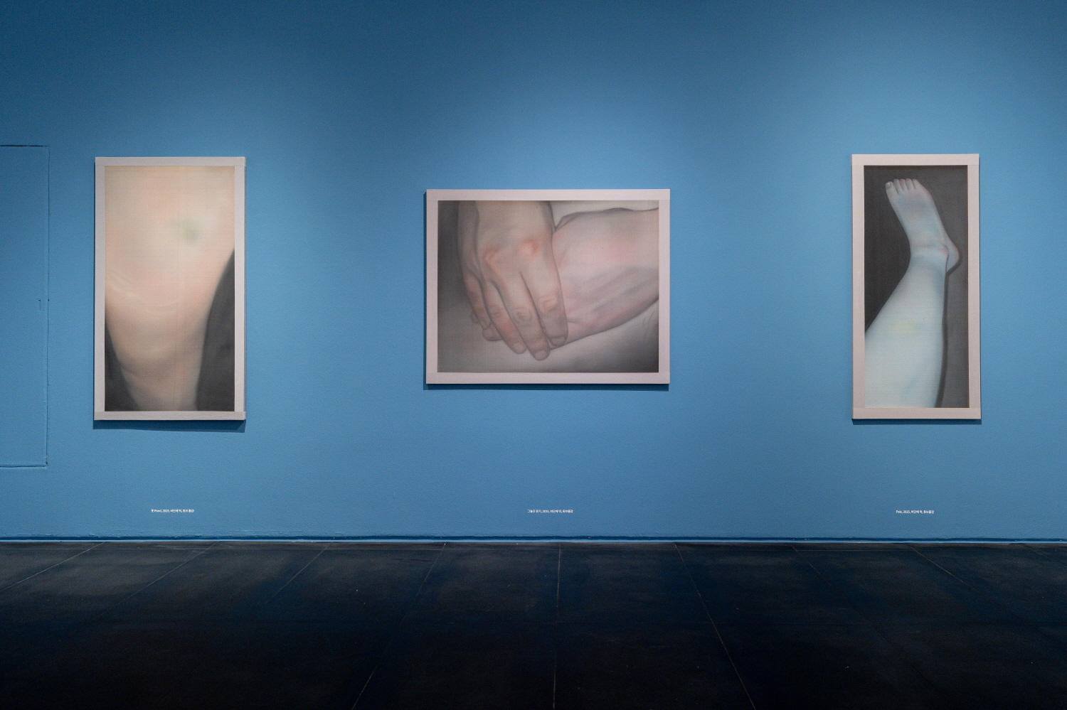 전시 전경 이미지