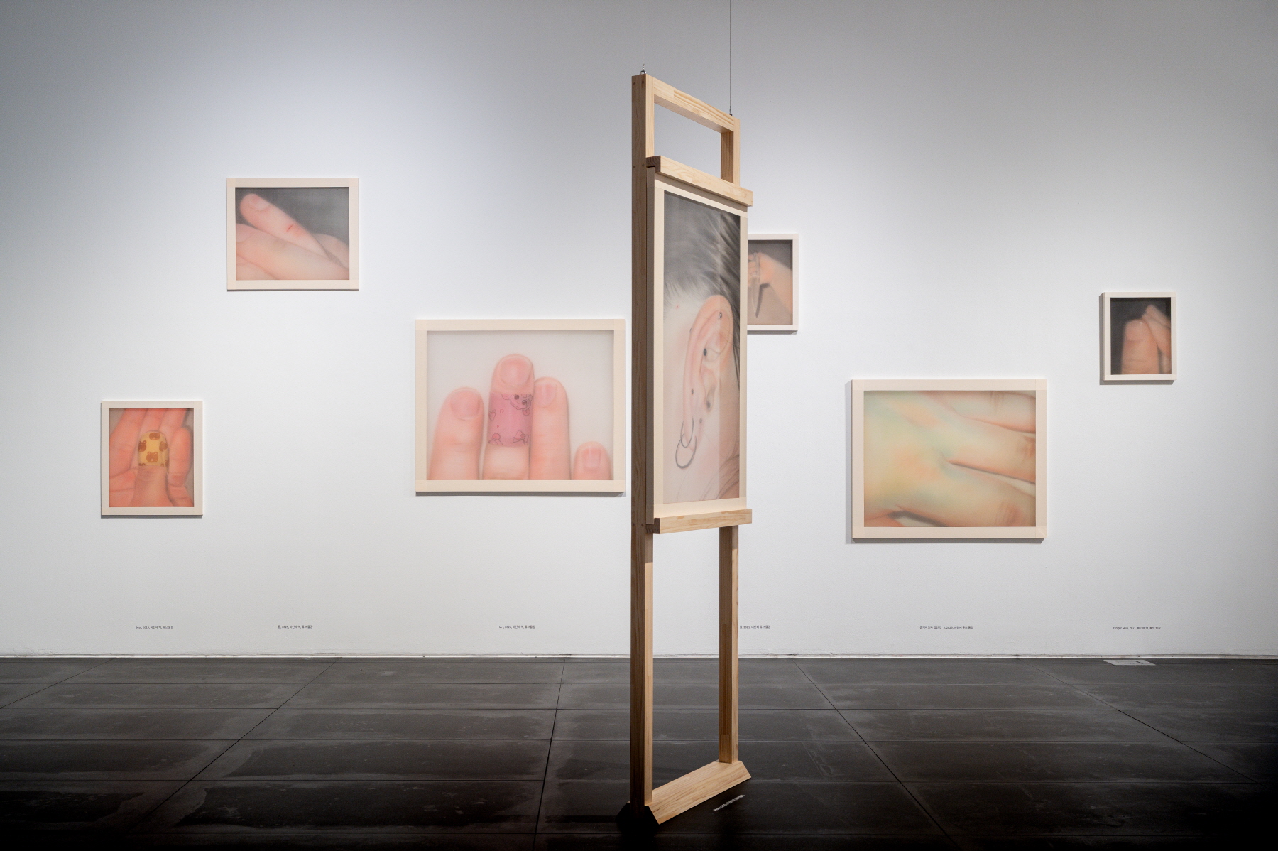 전시 전경 이미지