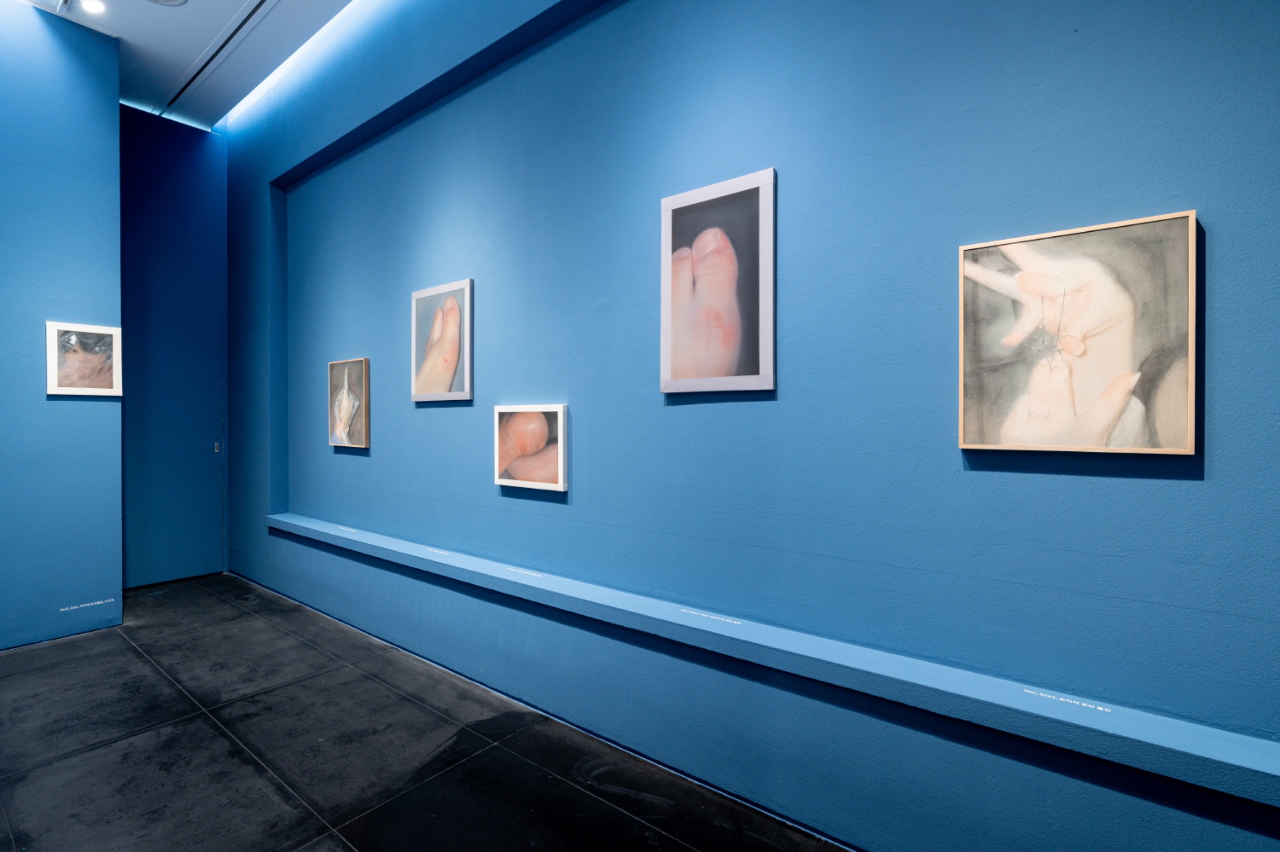 전시 전경 이미지