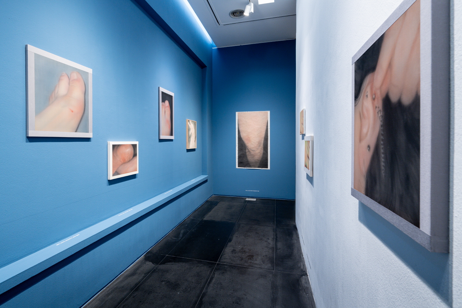 전시 전경 이미지