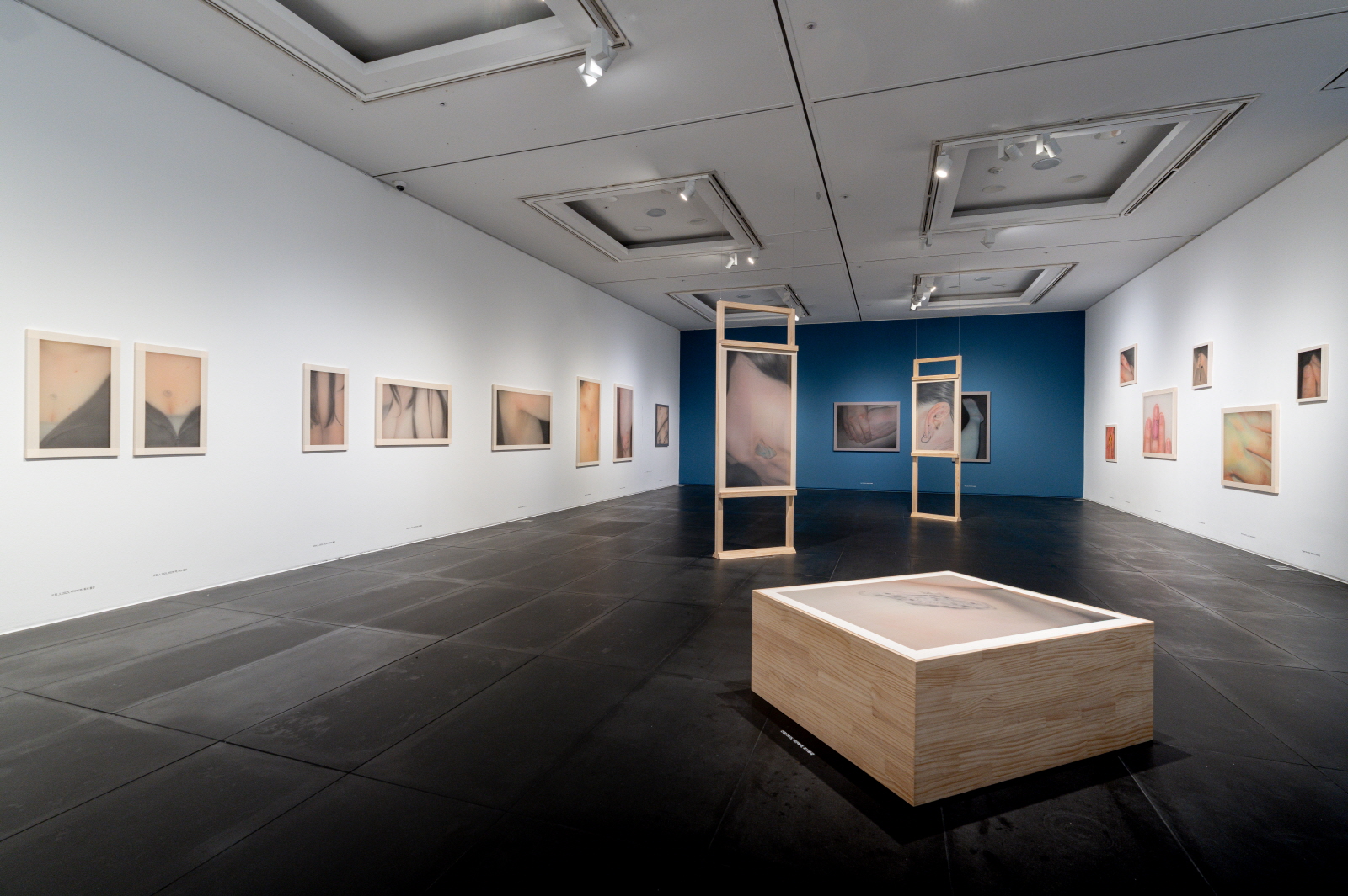 전시 전경 이미지