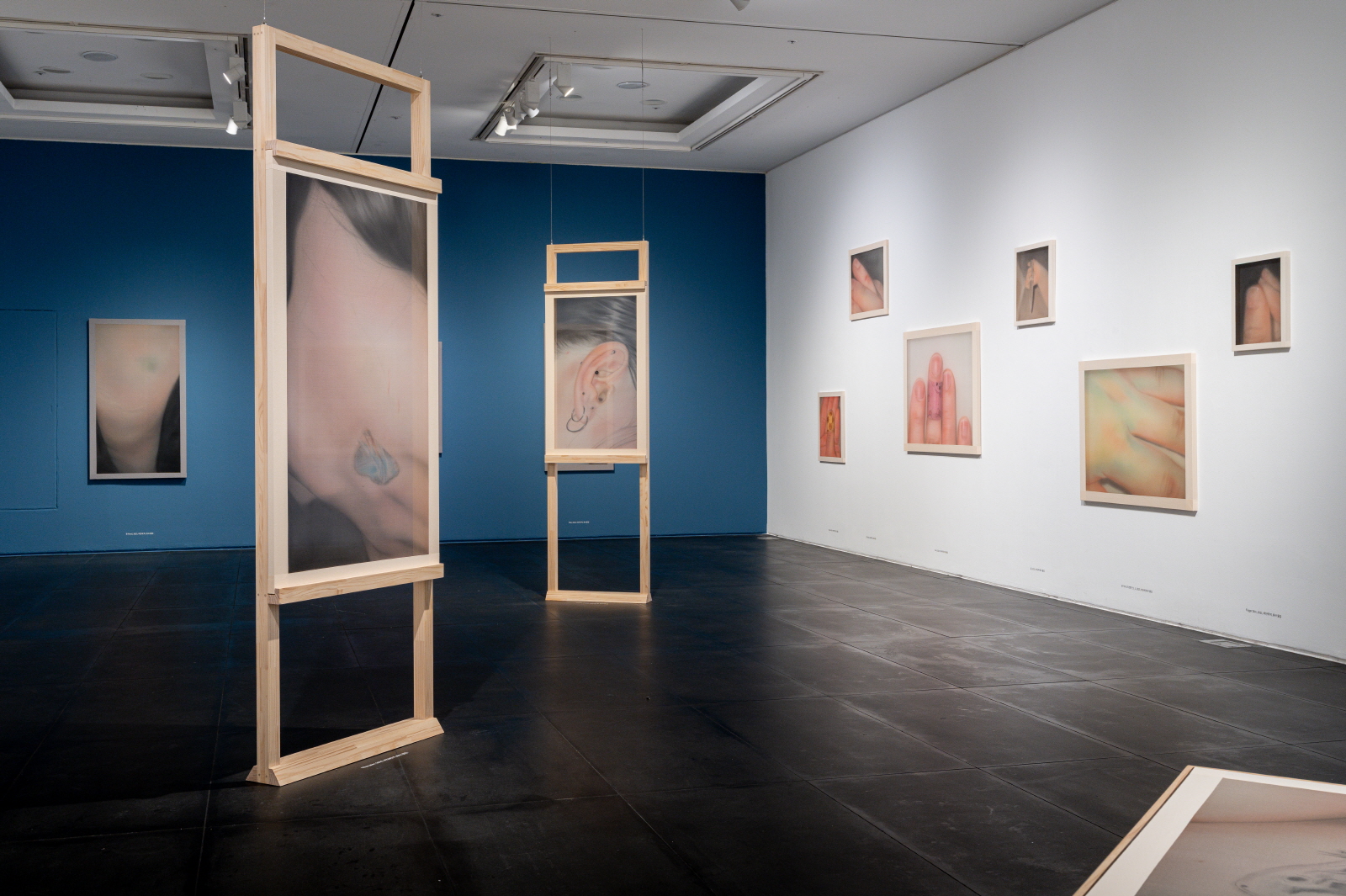 전시 전경 이미지