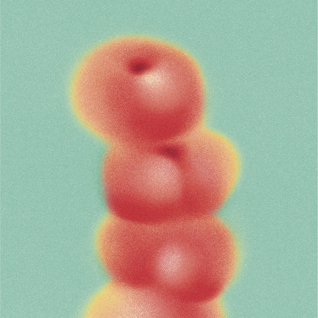 책의 얼굴들 The Faces of Books