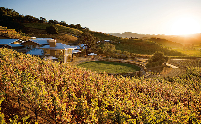 Value of Shafer Vineyards