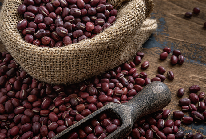 Magazine : 붉은 팥 한 줌의 에너지