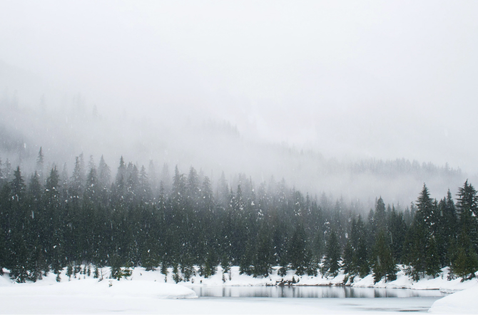 Magazine : 겨울 숲에서 그윽함을 생각하다
